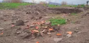 INAH busca acuerdo con ejidatarios para ingresar a Los Tlalteles tras saqueo