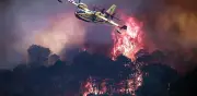 Incendios forestales en España y Francia: miles de evacuados y miles de hectáreas quemadas