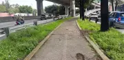 Infraestructura ciclista en CDMX: solo 11% de meta cumplida y usuarios denuncian abandono