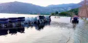 Investigan derrame de diésel en laguna de Hidalgo tras volcadura de tráiler