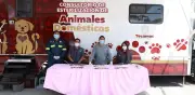 Jornadas de esterilización gratuitas para perros y gatos en Tecámac