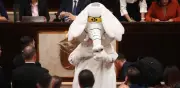 La historia del 'Elefante Blanco' que llegó al Congreso de Colombia