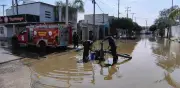 Lluvias en Torreón dejan encharcamientos, árboles caídos y apagones