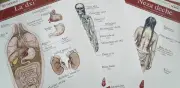 Láminas bilingües zapoteco-español para clínicas del Istmo de Oaxaca