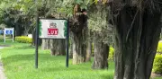 Mauricio Tabe reconoce a Ópticas Lux por cuidado de áreas verdes en Miguel Hidalgo