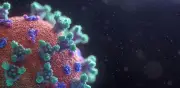 Mayor brote de cyclospora en Michigan: casi mil enfermos y contagios en Ohio