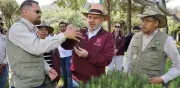 Michoacán alcanzará récord de 50 millones de árboles reforestados