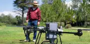 Michoacán inicia reforestación con drones y 200 mil semillas en Pátzcuaro