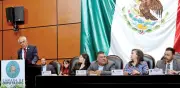 Morena propone fiscalizar zonas controladas por crimen organizado y proteger auditores