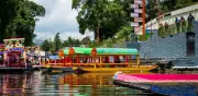 Mundial 2026 no cumplió expectativas en Xochimilco: ventas subieron solo 20%