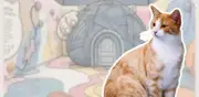 Museo del Gato CDMX: apertura 8 de agosto, boletos desde 350 pesos