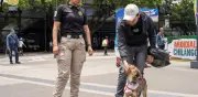 Perro 'Haaland' resultó ser 'Bigotes' y se reencuentra con su dueño en CDMX