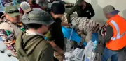 Piden al T-MEC investigar omisiones de México por muerte del tigre Kenzo