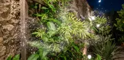 Planta huele de noche: riesgos tóxicos y beneficios para el jardín