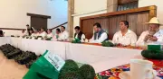 Productores de aguacate denuncian boicot de empresas estadounidenses