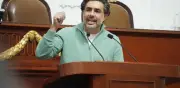Reforma a Ley de Alcaldías CDMX: 2% fijo para protección animal