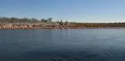 Río Bravo en Piedras Negras recupera niveles normales de caudal tras alcanzar máximo
