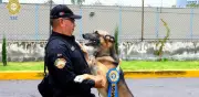 Se jubilan seis agentes caninos del sistema penitenciario de CDMX tras 8 años