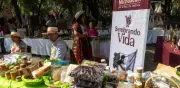 Sembrando Vida: pago de 6,450 pesos hoy 9 de julio; requisitos