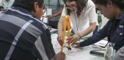 Sinaloa registra cuatro casos de gusano barrenador; plaga se extiende a 29 estados