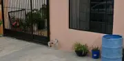 Sobrino mata a golpes a su tío en Santa Catarina, Nuevo León