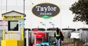 Taylor Farms: la empresa de lechuga vinculada al brote de ciclosporiasis en EU