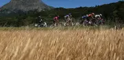 Tour de Francia 2026: Etapa 19 con final en Alpe d’Huez, oportunidad para Isaac del Toro