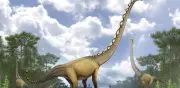 Un solo fósil revela nueva especie de dinosaurio gigante en Tailandia