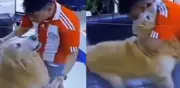 Video viral: Perrito celebra con su dueño el pase de Paraguay a octavos del Mundial 2026