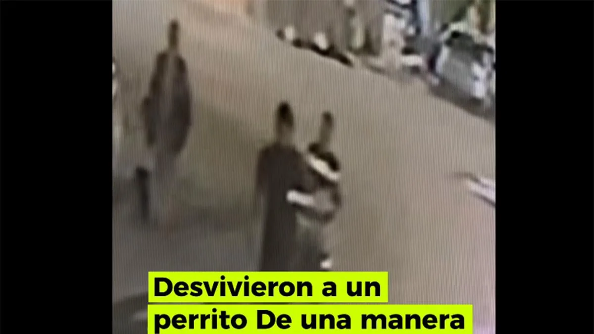 Vendedores ambulantes matan a perro a golpes en Nuevo León