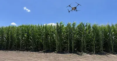 Bayer inaugura primer ForwardFarm en México para probar maíz eficiente