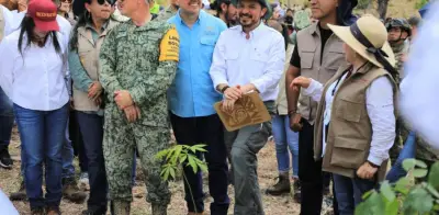 Chiapas lidera reforestación nacional con 25% de los árboles