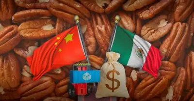 China impone cuotas a nuez pecana mexicana y de EU