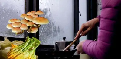 Cocina de lluvia: ingredientes de temporada en México