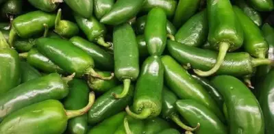 Cofepris investiga brote de salmonela en empacadora de Nuevo León