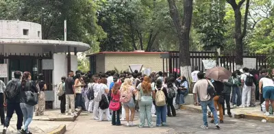 El IPN validó a Territorium antes de la crisis de la UNAM
