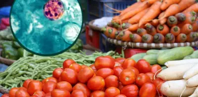 ¿El vinagre elimina la Cyclospora? Infectóloga responde