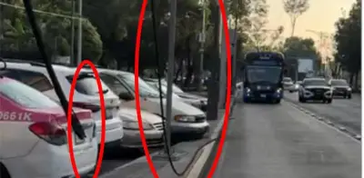 Emergencias en CDMX: robo de cable de Trolebús y árboles caídos por lluvia