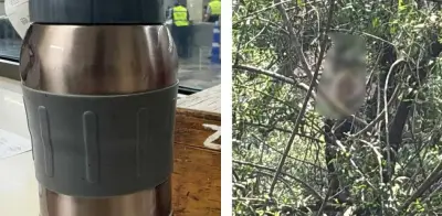 Emergencias HOY en CDMX: hallan hombre colgado y retrasos en Metro