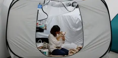 Hospital veterinario abre refugio a mascotas de damnificados en Japón