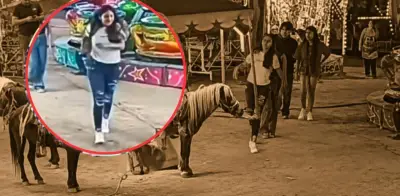 Indignación por video de joven que agrede a pony en feria de SLP