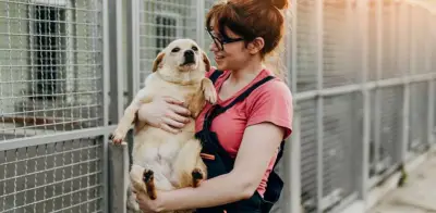 Lugares para adoptar perros y gatos en CDMX: guía 2026