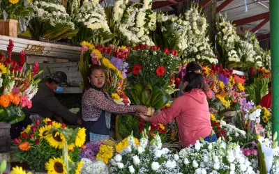 Mipymes mexicanas en crisis: inflación, luz y extorsión amenazan su supervivencia