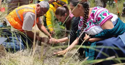 Paso de Cortés ahora será Paso de los Pueblos Indígenas: Sheinbaum