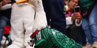 Pato Merlín estrena hogar: así vive ahora la familia viral