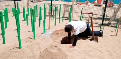 Profepa rescató 202 huevos de tortuga golfina en Acapulco