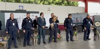 Retiran cuatro perros detectores de Aduanas tras siete años de servicio