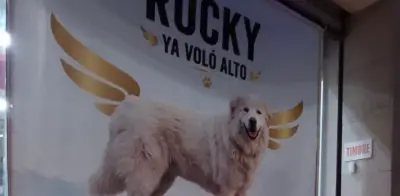 Rocky, símbolo de la crueldad en Coahuila: 303 indagatorias y una impunidad casi absoluta
