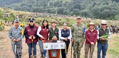 Segob decreta el segundo domingo de agosto como Día Nacional de la Reforestación