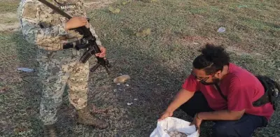 Semar y Profepa recuperan 5,100 huevos de tortuga golfina en Oaxaca